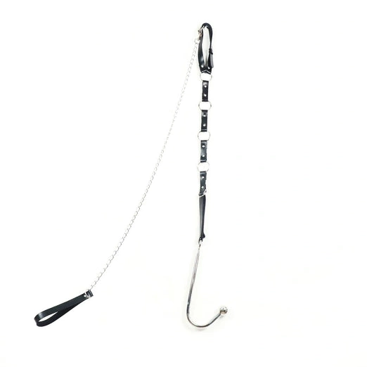 Anal Collar 5853 with and Leash EverydayUse Hook Kinky 1105